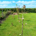 Apartment Duplex/2 Bedrooms On Kildare/carlow/laois Border Carlow