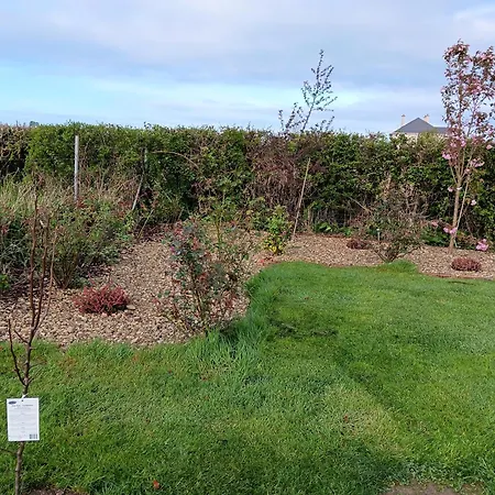 Apartamento Duplex/2 Bedrooms On Kildare/carlow/laois Border