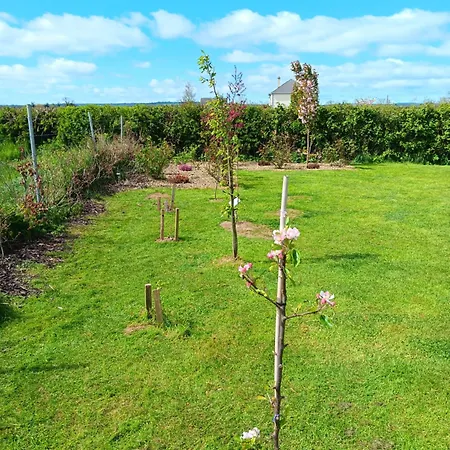 Lejlighed With 2 Bedrooms On Kildare Laois Border Carlow