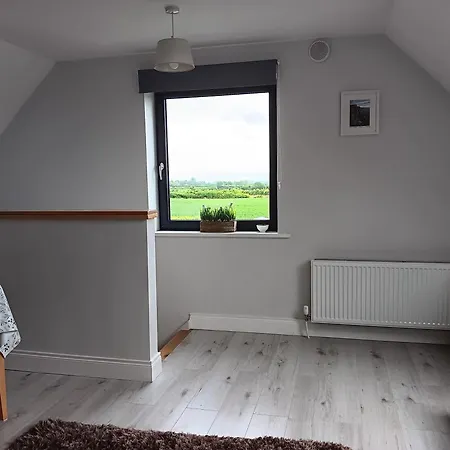 Duplex/2 Bedrooms On Kildare/carlow/laois Border Apartament