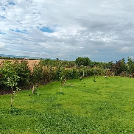 Apartment With 2 Bedrooms On Kildare Carlow Laois Border كارلو