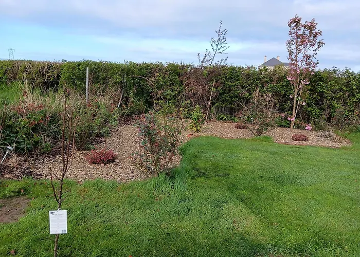 Lejlighed Duplex/2 Bedrooms On Kildare/carlow/laois Border