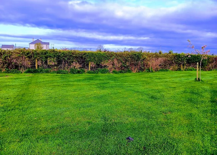 Duplex/2 Bedrooms On Kildare/carlow/laois Border Appartamento