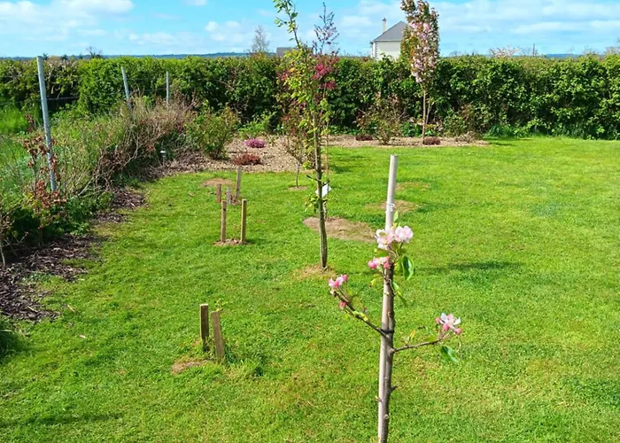 Lejlighed Duplex/2 Bedrooms On Kildare/carlow/laois Border Carlow