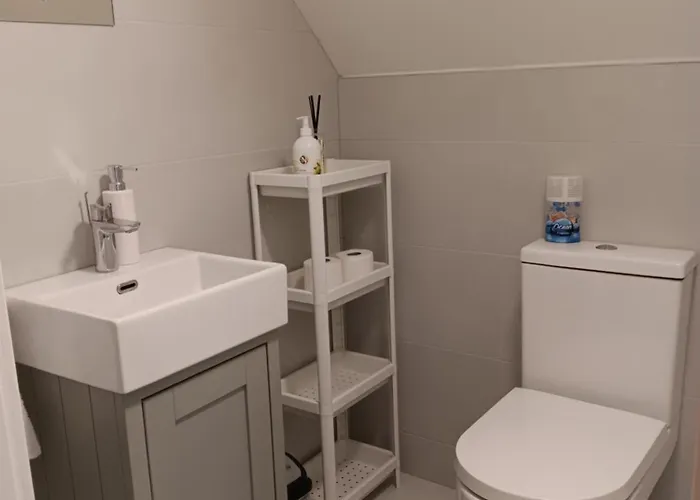 Duplex/2 Bedrooms On Kildare/carlow/laois Border Carlow