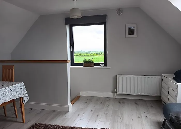 Duplex/2 Bedrooms On Kildare/carlow/laois Border Lejlighed