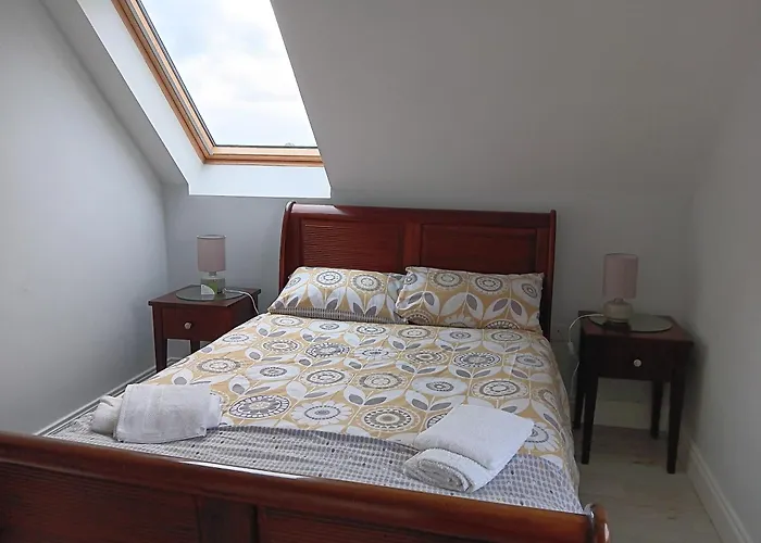 Duplex/2 Bedrooms On Kildare/carlow/laois Border Appartamento *