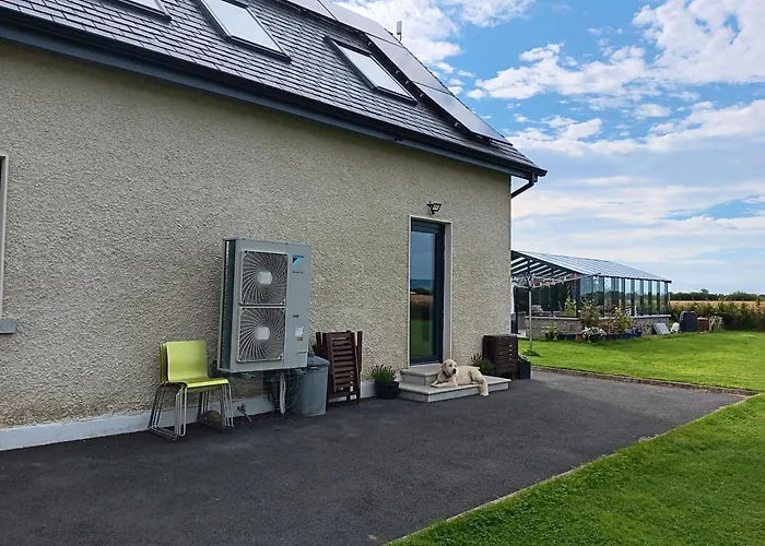 Duplex/2 Bedrooms On Kildare/carlow/laois Border Lejlighed Carlow