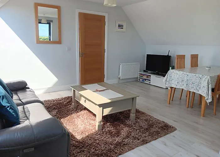 Duplex/2 Bedrooms On Kildare/carlow/laois Border Lejlighed Carlow